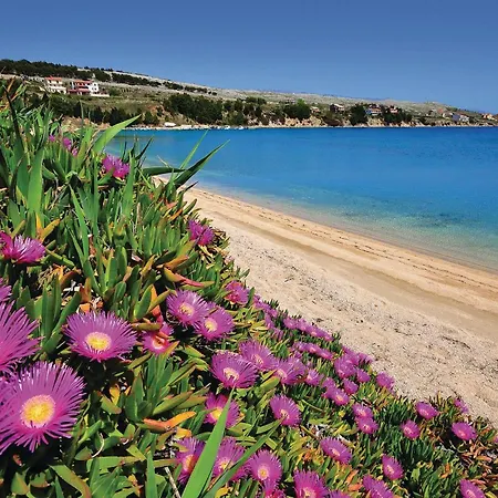 Lägenhet Nice In Pag With Wi-fi